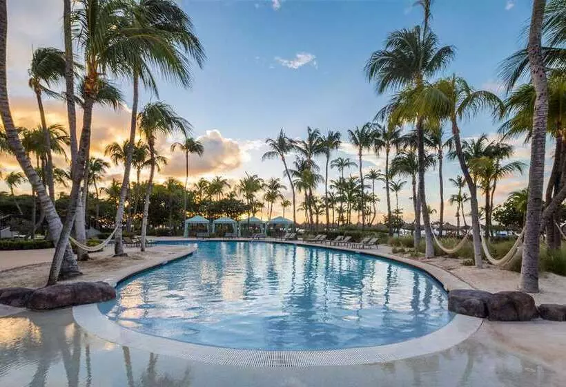 Hilton Aruba Caribbean Resort And Casino
