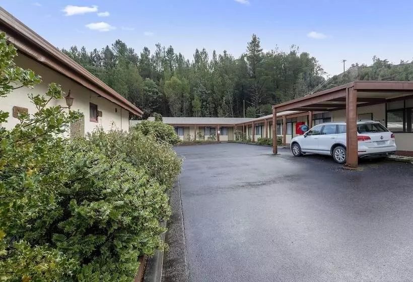 酒店 Gold Rush Inn