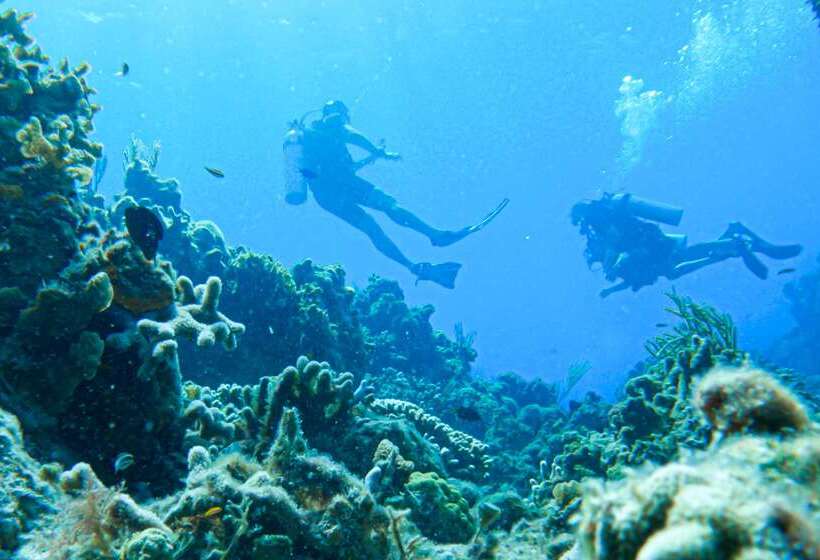 هتل Occidental Cozumel   All Inclusive