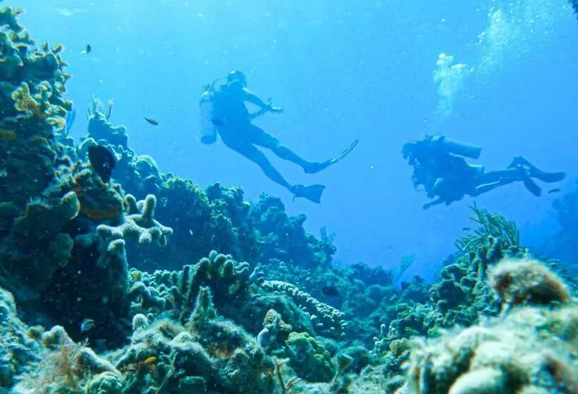 酒店 Occidental Cozumel   All Inclusive