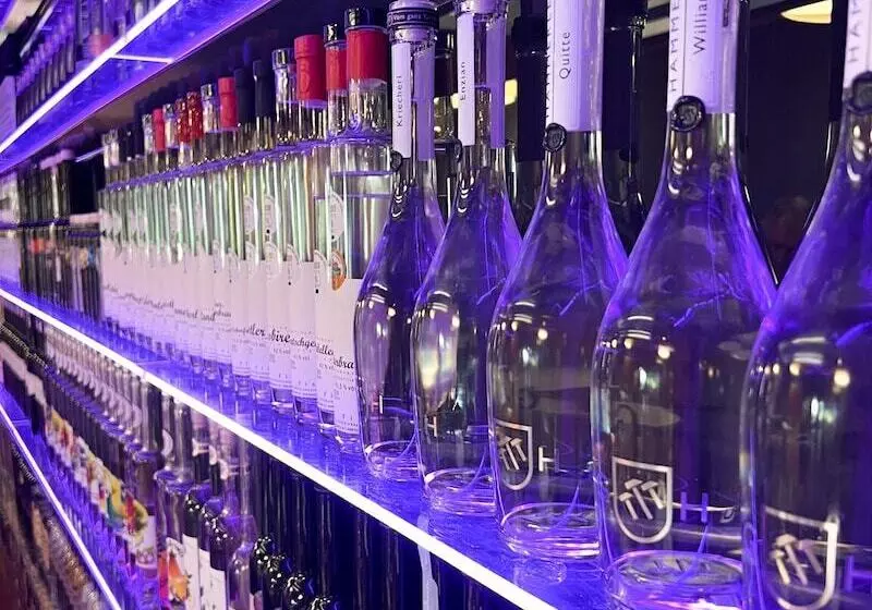 酒店 Gasthof Löwen