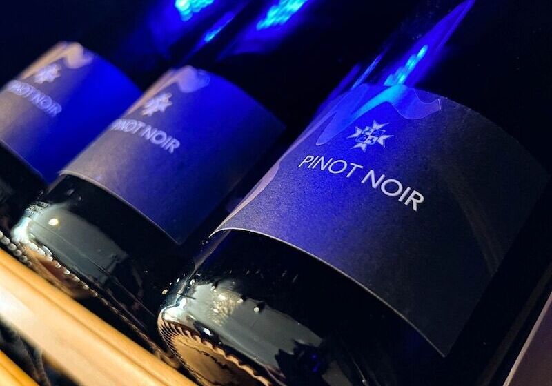 Hotelli Gasthof Löwen