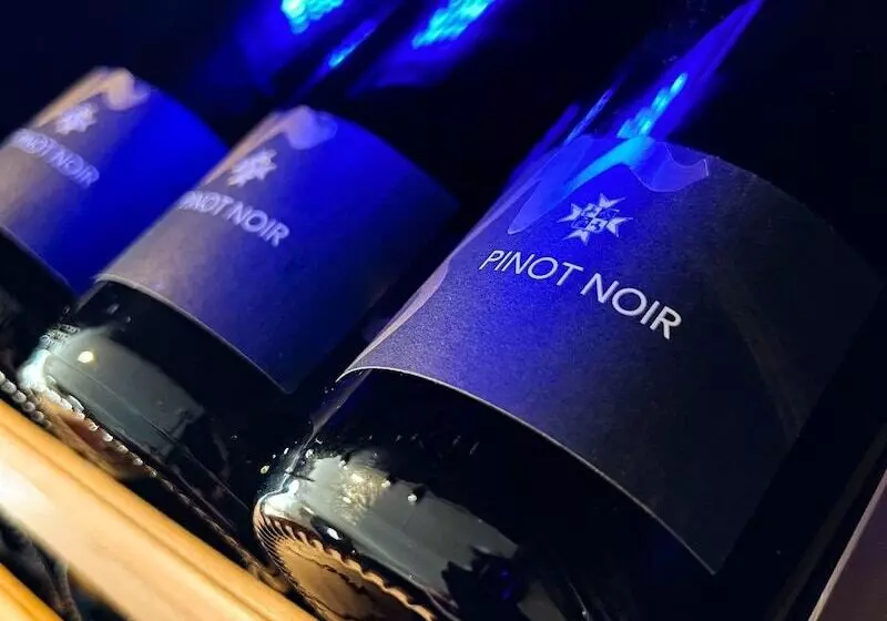 酒店 Gasthof Löwen