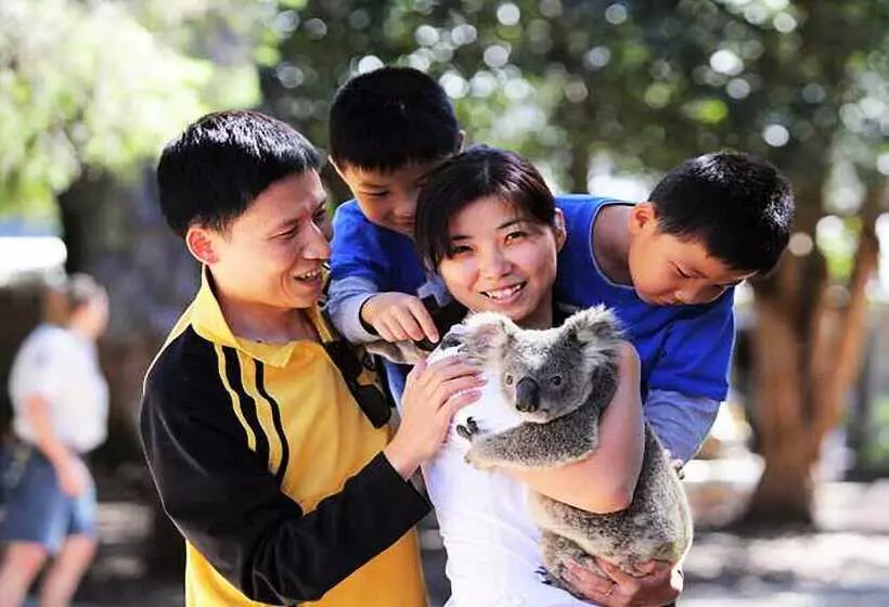 호텔 Sandcastles On Currumbin Beach