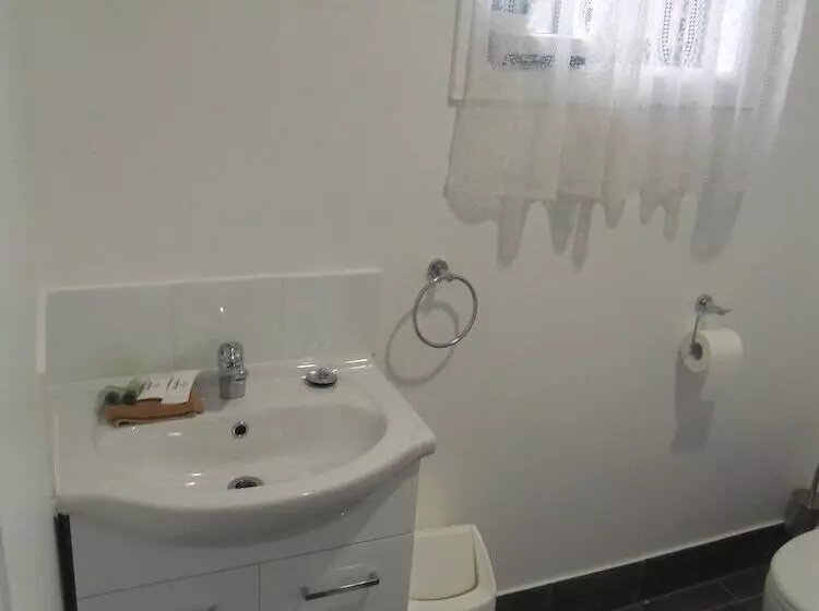 酒店 Swaggers Motor Inn