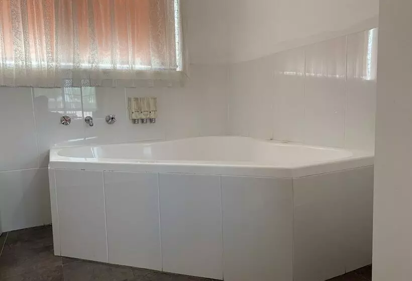 酒店 Swaggers Motor Inn