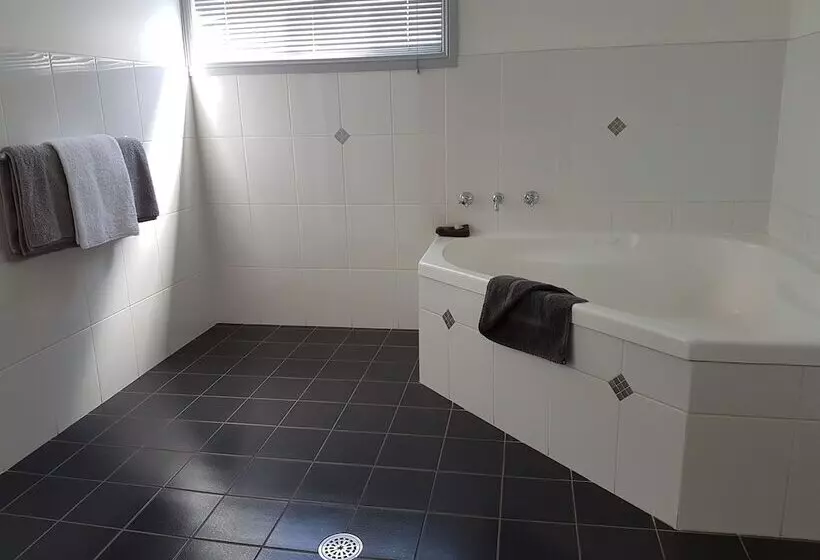 酒店 Swaggers Motor Inn