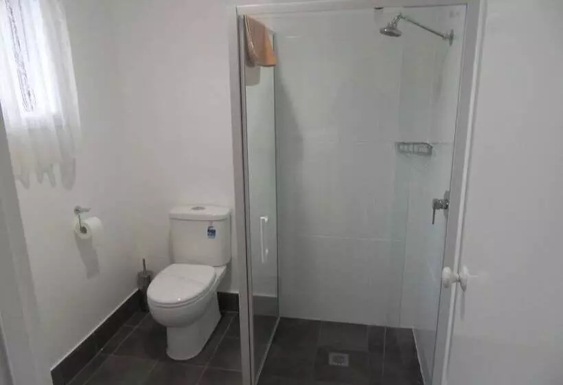 酒店 Swaggers Motor Inn