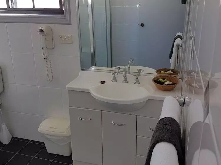 酒店 Swaggers Motor Inn