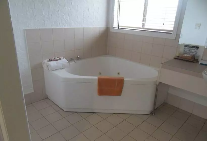 酒店 Swaggers Motor Inn