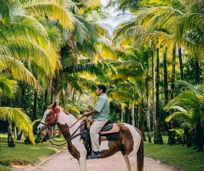 فندق Blancaneaux Lodge by Francis Ford Coppola