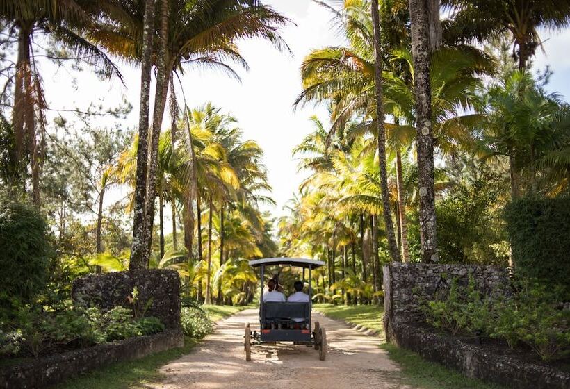 בית מלון כפרי Blancaneaux Lodge by Francis Ford Coppola