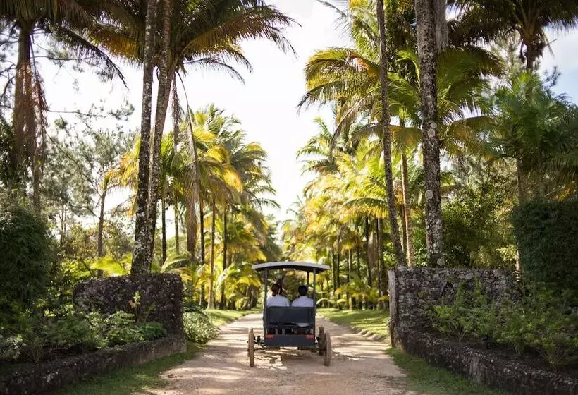 فندق Blancaneaux Lodge by Francis Ford Coppola
