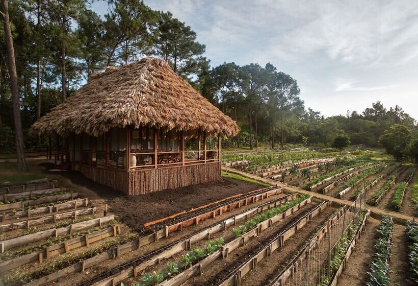 בית מלון כפרי Blancaneaux Lodge by Francis Ford Coppola