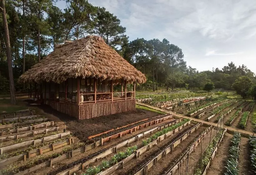 فندق Blancaneaux Lodge by Francis Ford Coppola