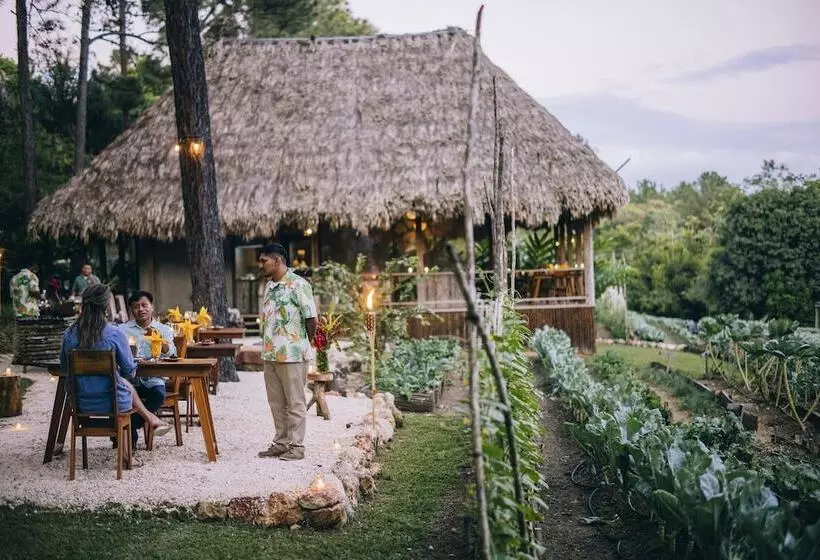 فندق Blancaneaux Lodge by Francis Ford Coppola