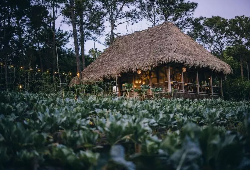 فندق Blancaneaux Lodge by Francis Ford Coppola