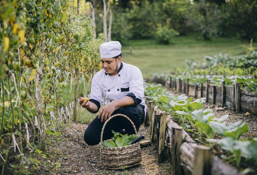בית מלון כפרי Blancaneaux Lodge by Francis Ford Coppola