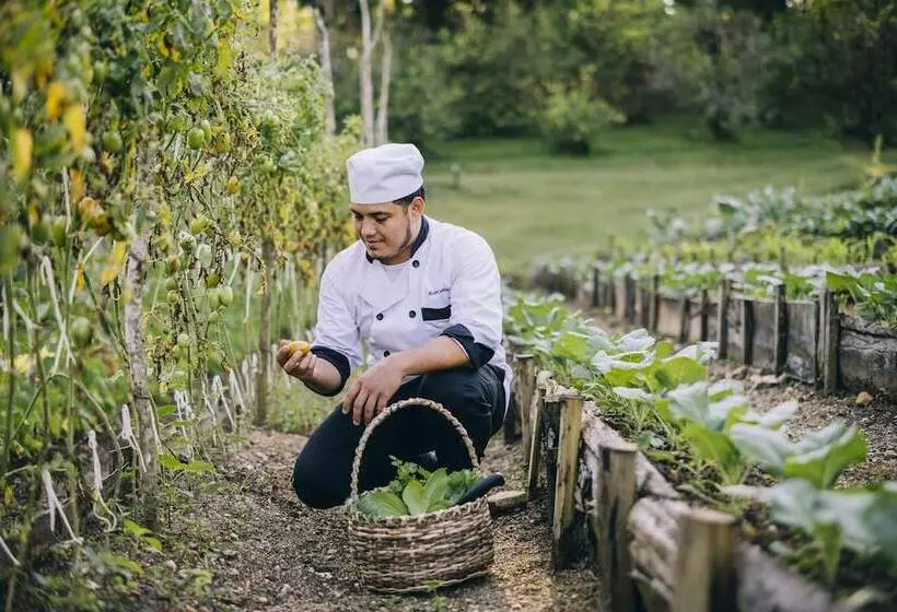 فندق Blancaneaux Lodge by Francis Ford Coppola