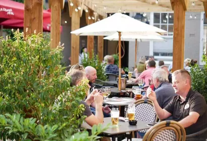 בית מלון כפרי The Falcon