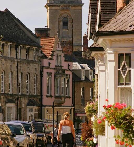 فندق The Feathers