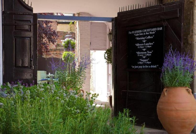 فندق The Feathers