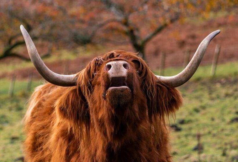 Hotelli Loch Melfort