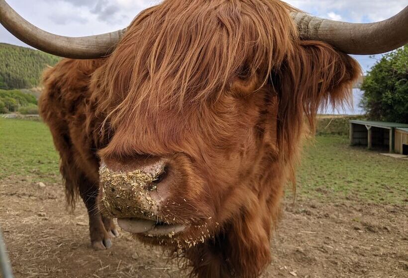 Hotelli Loch Melfort