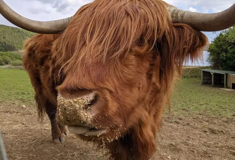 ホテル Loch Melfort