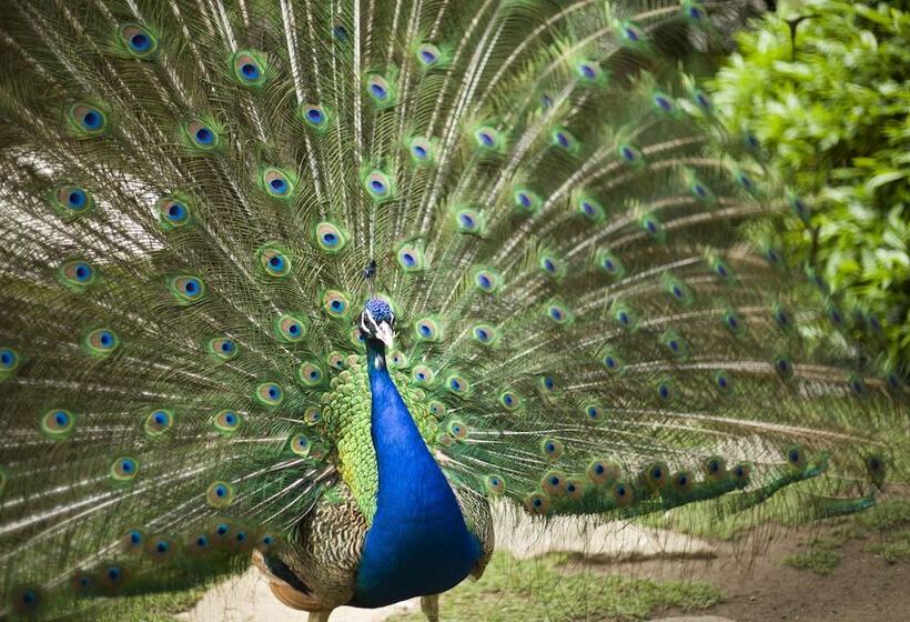 酒店 Marinela Sofia