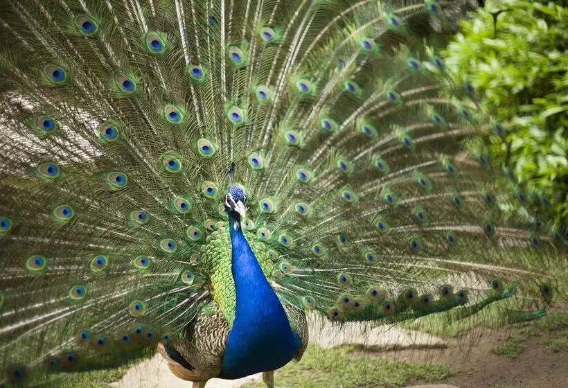 ホテル Marinela Sofia