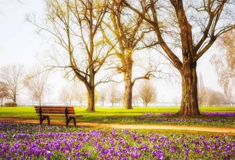 فندق The Kimberley