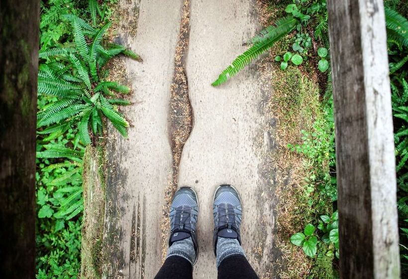 Best Western Plus Tin Wis Resort