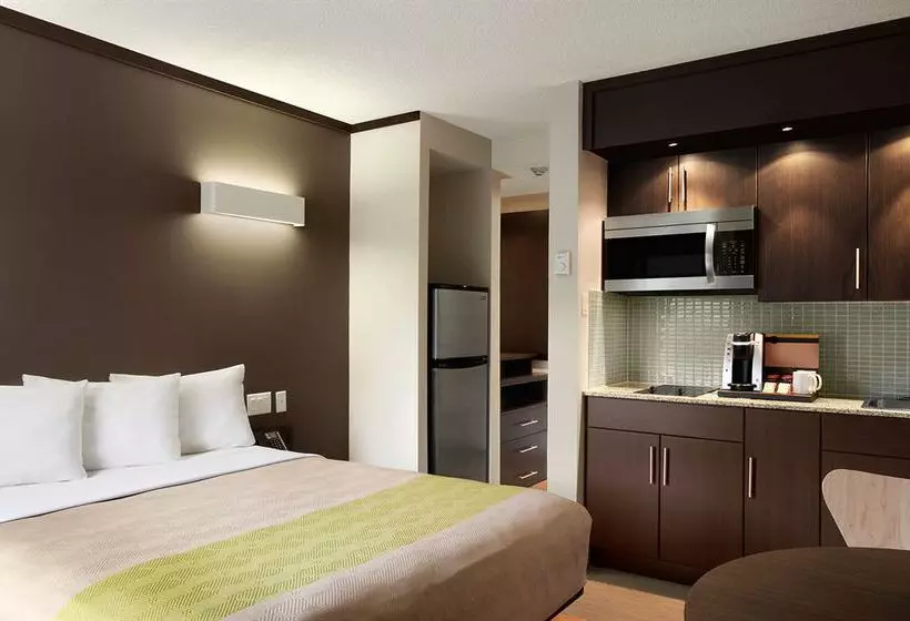 Studio 6 Downtown Toronto