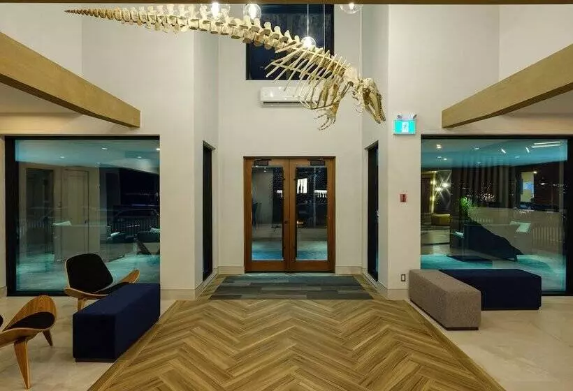 فندق Auberge De La Pointe