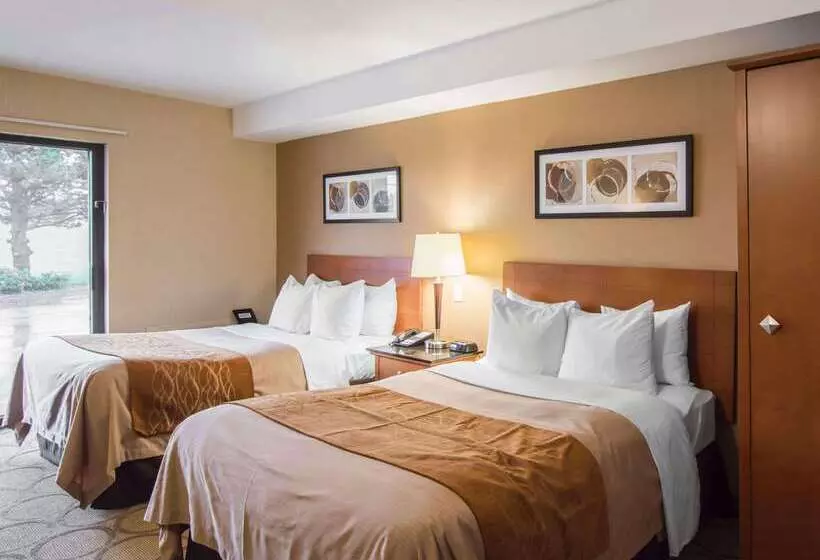 酒店 Comfort Inn Airport East