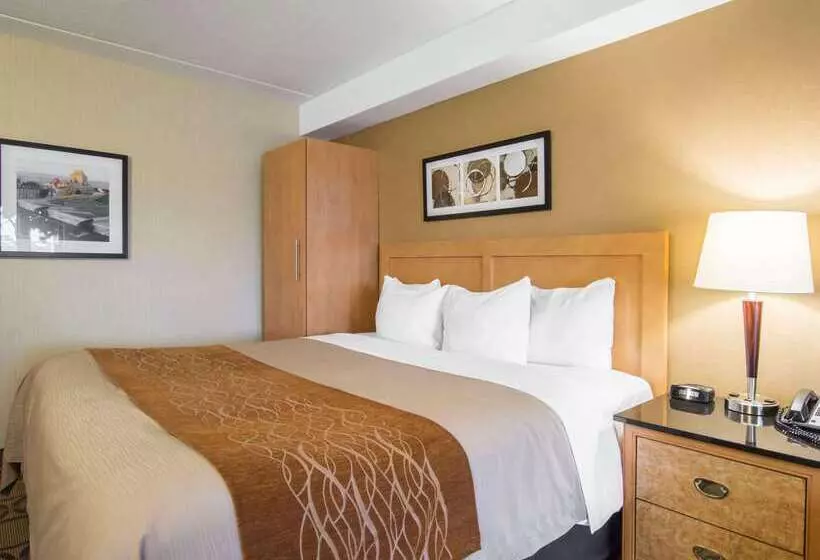 酒店 Comfort Inn Airport East