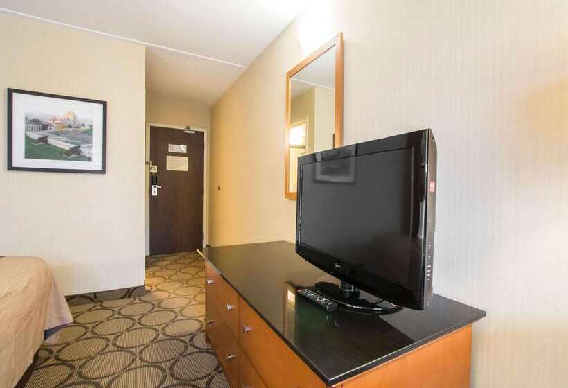 هتل Comfort Inn Airport East