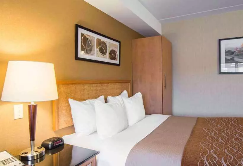 酒店 Comfort Inn Airport East