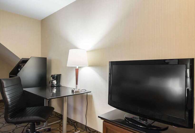 هتل Comfort Inn Airport East