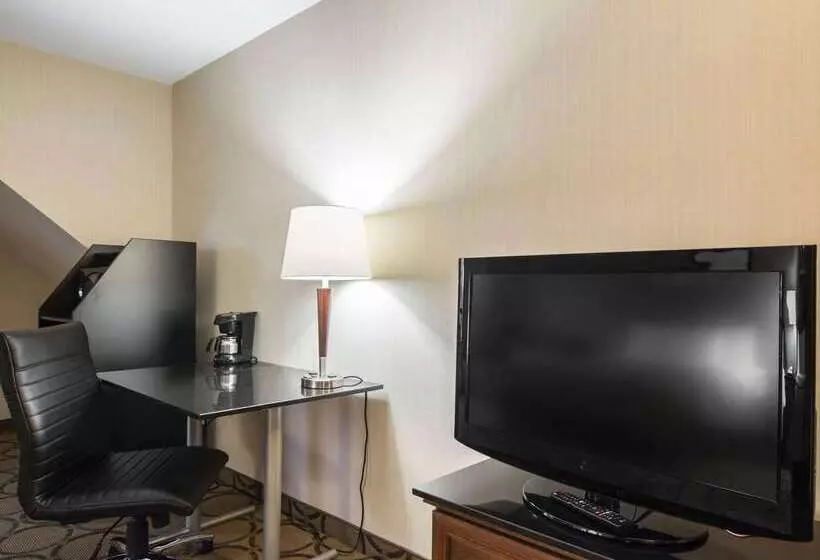 酒店 Comfort Inn Airport East