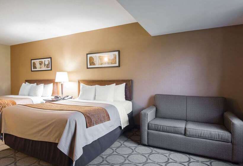 هتل Comfort Inn Airport East