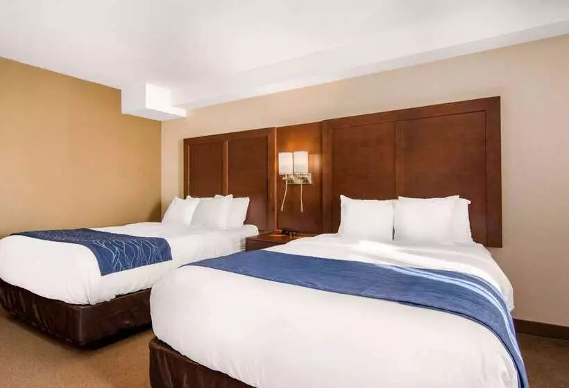 호텔 Comfort Inn & Suites