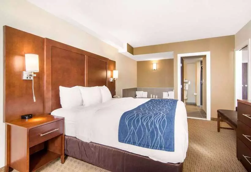 호텔 Comfort Inn & Suites