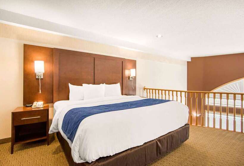 هتل Comfort Inn & Suites