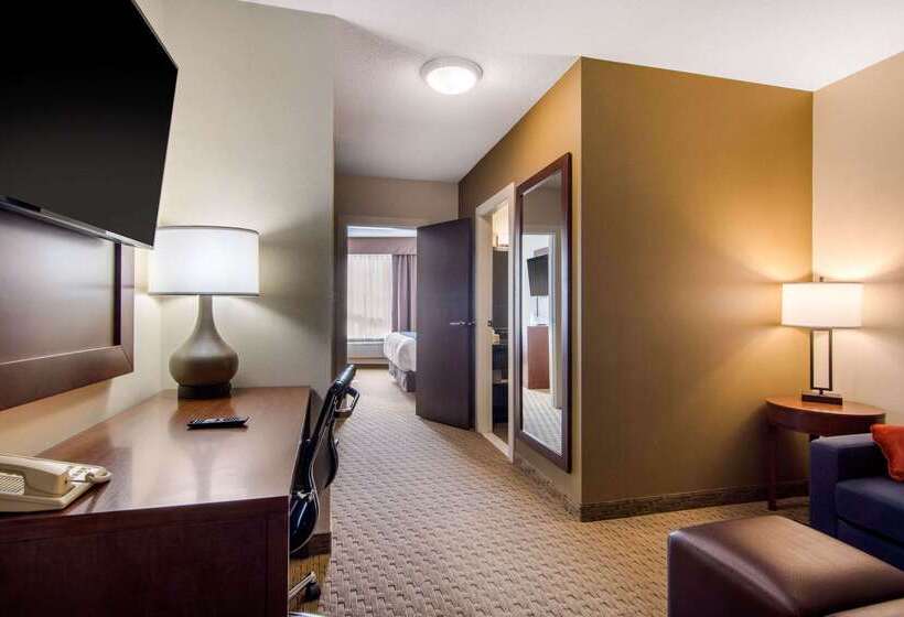 هتل Comfort Inn & Suites