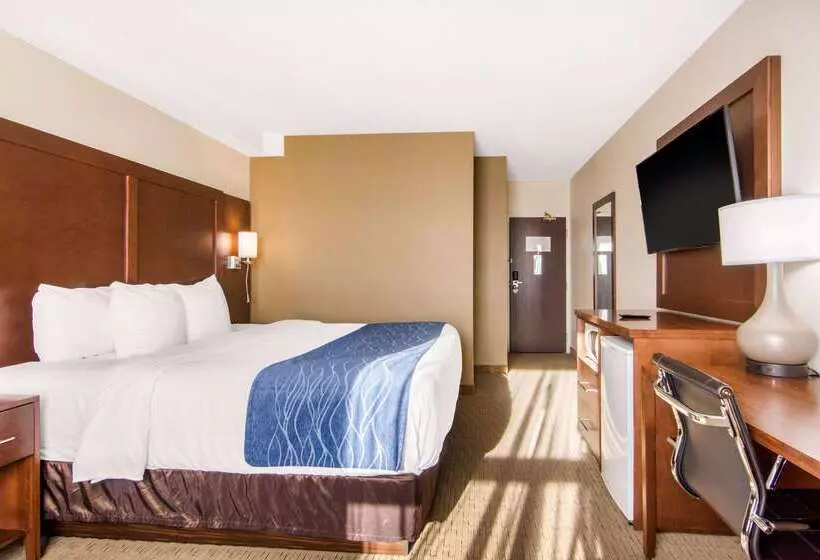 호텔 Comfort Inn & Suites