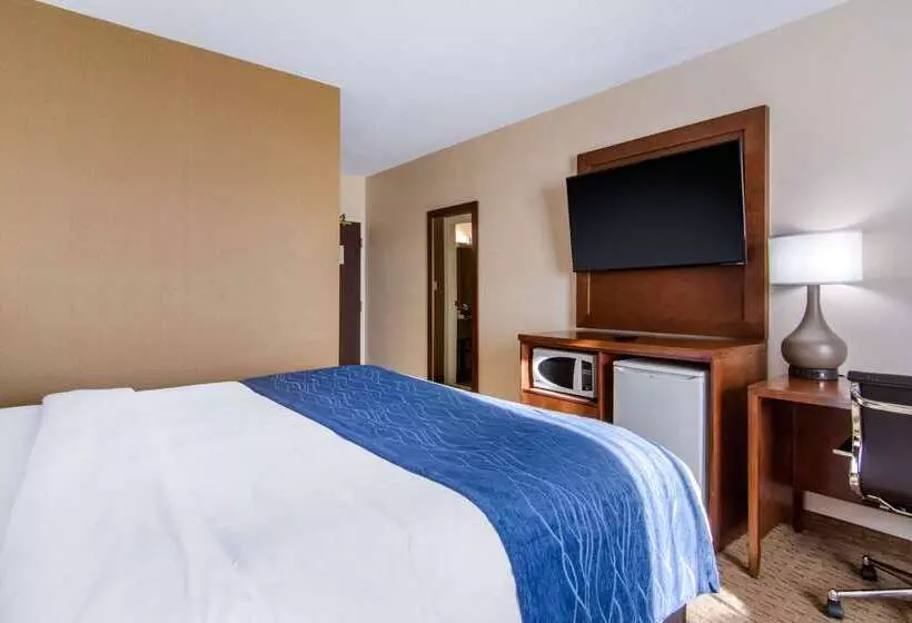 호텔 Comfort Inn & Suites