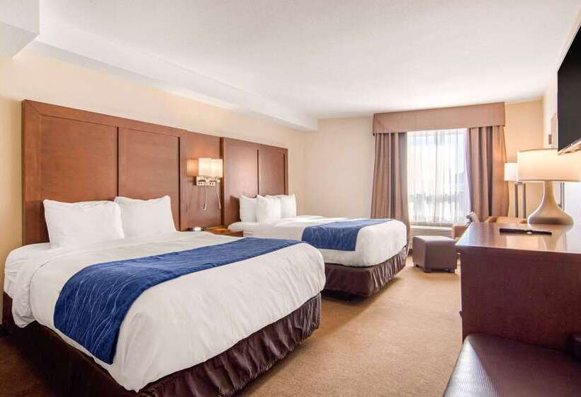 هتل Comfort Inn & Suites