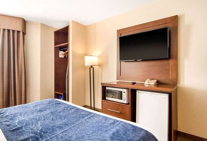 هتل Comfort Inn & Suites